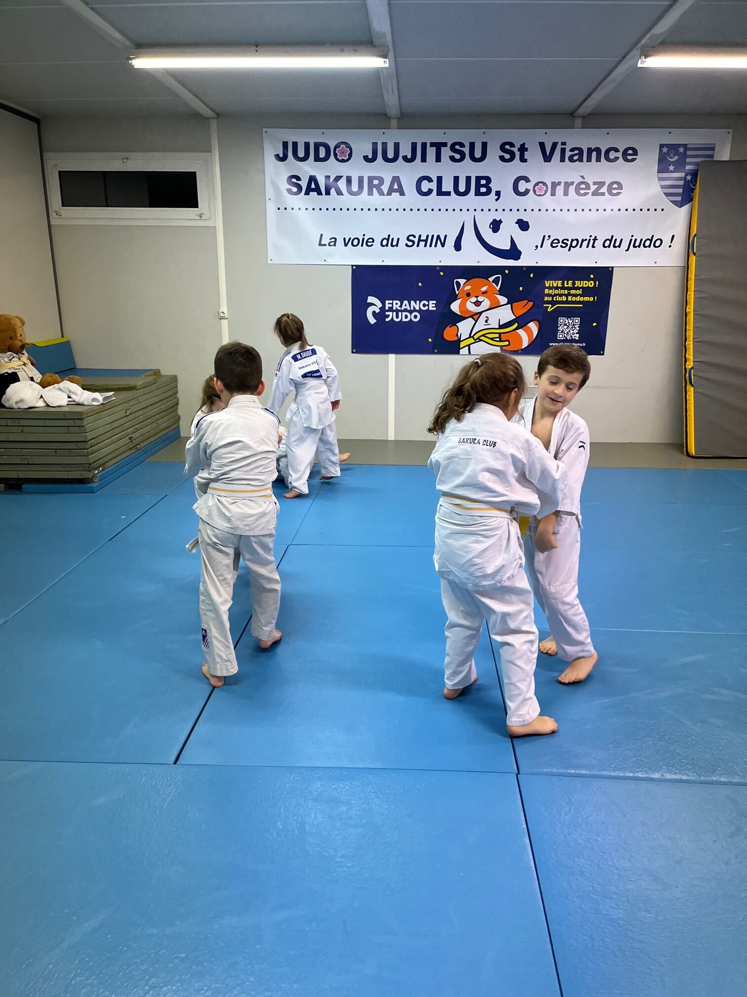 judo st viance