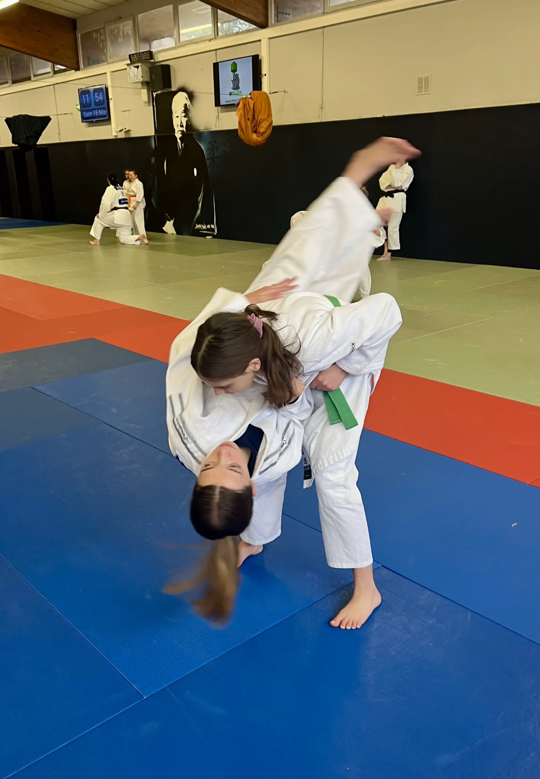 journée judo féminin mars 2025